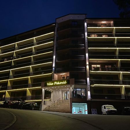Apartment Pino Bianco 1 - Vila Pekovic Златибор Экстерьер фото